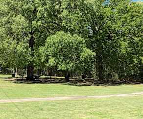 Apartments For Rent In Marshall Tx 95 Rentals