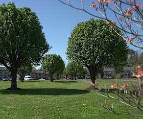 Apartments For Rent In Clinton Tn 124 Rentals