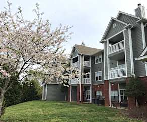 Apartments For Rent In Knoxville Tn 371 Rentals