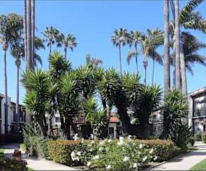 Avalon Huntington Beach Apartments Huntington Beach Ca