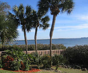 Furnished Apartment Rentals In Clearwater Fl