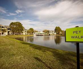 Apartments For Rent In Tampa Fl 889 Rentals