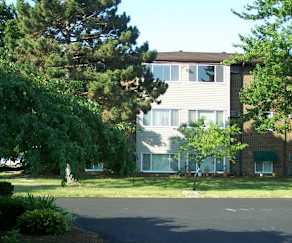 Apartments For Rent In Monroe Mi 85 Rentals