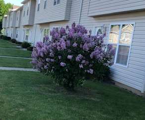 Friends Settlement Apartments Philadelphia Ny 13673