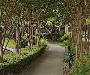 The Domaine Apartments Plano Tx 75024