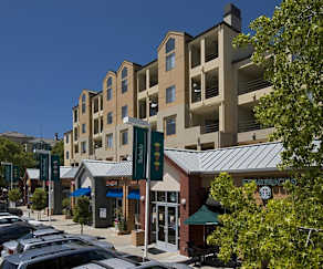 North San Jose 2 Bedroom Apartments For Rent San Jose Ca