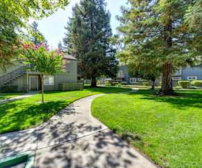 Apartments For Rent In Lodi Ca 541 Rentals