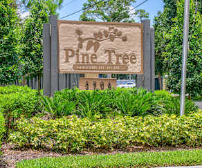 Stillwater Palms Apartments Palm Harbor Fl 34683