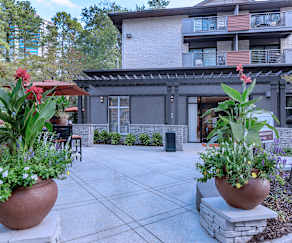 Brighton Gardens Of Buckhead Apartments Atlanta Ga 30324