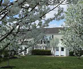 Apartments For Rent With High Speed Internet Access In
