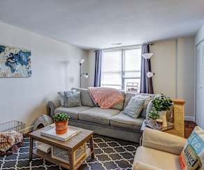 Everly On The Loop Apartments Saint Louis Mo 63112