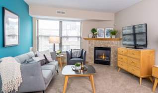 Apartments For Rent With Fireplace In Northeast Minneapolis