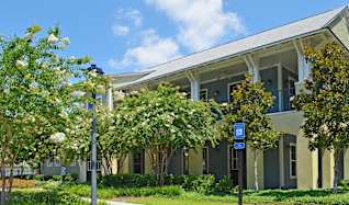 Average Apartment Rent In Savannah Georgia