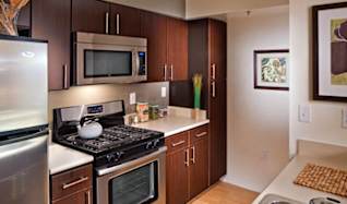 4 Bedroom Apt For Rent