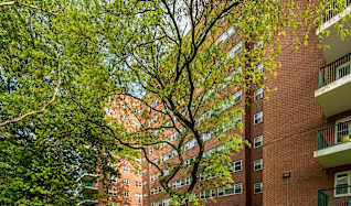 Apartments For Rent In Elizabeth Nj 125 Rentals