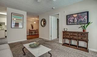 1 Bedroom Apartments For Rent In Bowdon Ga 15 Rentals