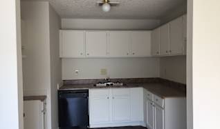 Plum Tree Apartments Memphis Tn 38115