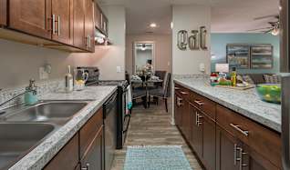 1 Bedroom Apartments For Rent In Orlando Fl 229 Rentals