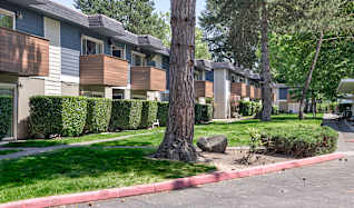 Cedar Park Apartments Renton Wa 98056