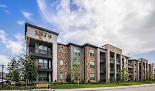 Apartments For Rent In Stafford Tx 147 Rentals