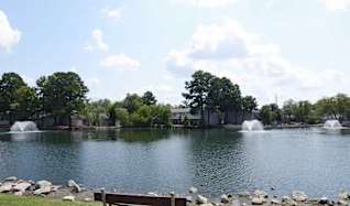 Plum Tree Apartments Memphis Tn 38115