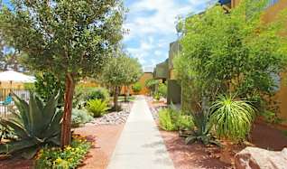 Tropicana Royale Apartments Las Vegas Nv 89119