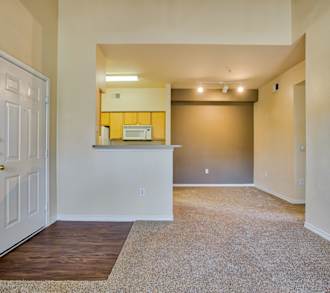 Apartments For Rent In Levelland Tx 500 Rentals Apartmentguide Com