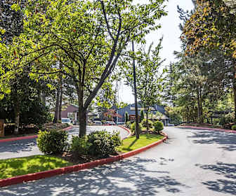 Cheap Apartment Rentals In Mill Creek Wa