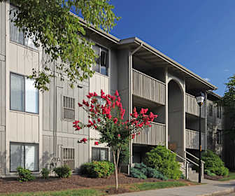 Apartments For Rent In Roanoke Va 164 Rentals