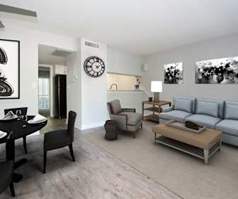Luxury Apartment Rentals In Carrollwood Fl