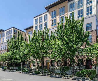 Apartments For Rent In Seattle Wa 1690 Rentals Apartmentguide Com