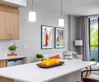 Studio Apartments For Rent In Miami Fl 133 Rentals