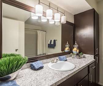 The Pointe At Steeplechase Apartments Houston Tx 77065