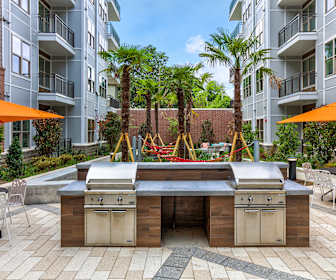 Elizabeth Apartments For Rent 140 Apartments Charlotte Nc
