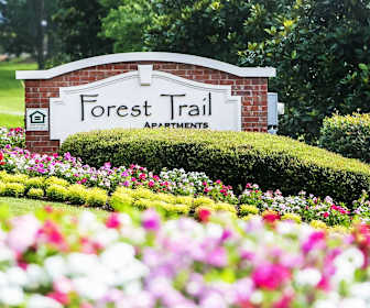 Studio Apartments For Rent In Tuscaloosa Al 10 Rentals