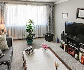 Cheap Apartment Rentals In Medina Ny
