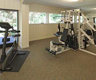 Apartments For Rent In Albany Ny 382 Rentals Apartmentguide Com