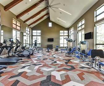 Apartments For Rent In Roman Forest Tx 440 Rentals Apartmentguide Com