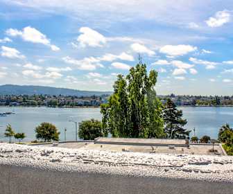 Short Term Lease Apartment Rentals In Alameda Ca