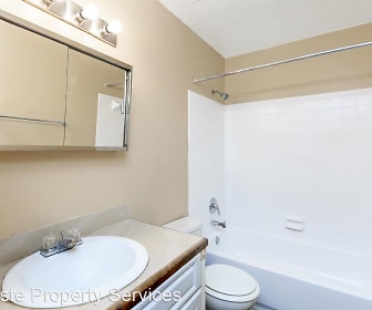 full bathroom featuring toilet, mirror, bathing tub / shower combination, and vanity, Prosper Point