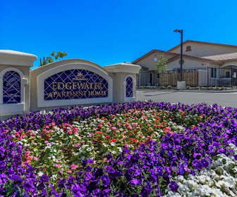 Studio Apartments For Rent In Brentwood Ca 6 Rentals