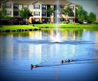 Apartments For Rent In Brandon Ms 176 Rentals Apartmentguide Com