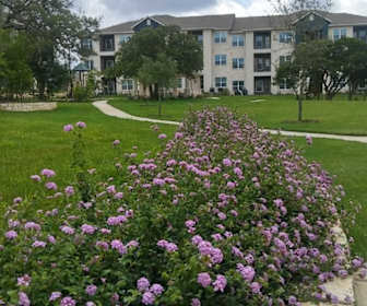 Apartments For Rent In Cedar Park Tx 199 Rentals