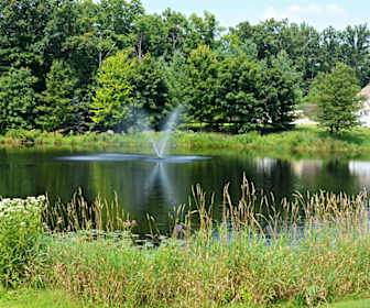 Apartments For Rent In Dewitt Mi 163 Rentals