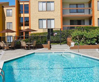 Pet Friendly Apartments For Rent In Noe Valley San Francisco