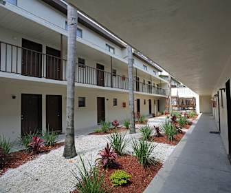 Sulphur Springs Apartments Apartments For Rent In Sulphur Springs Tampa Fl