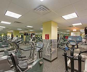 Apartments For Rent In Loyola University Of Chicago Il 1367