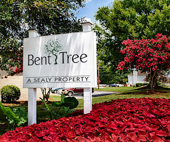 1 Bedroom Apartments For Rent In Tuscaloosa Al 63 Rentals