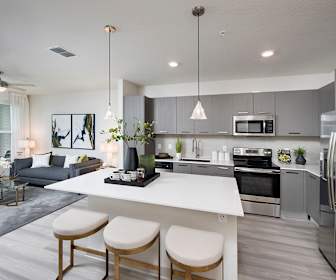 Thornton Park Studio Apartments For Rent Orlando Fl 15 Rentals