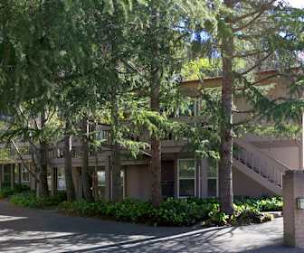 Apartments For Rent In Muir Beach Ca 3221 Rentals Apartmentguide Com